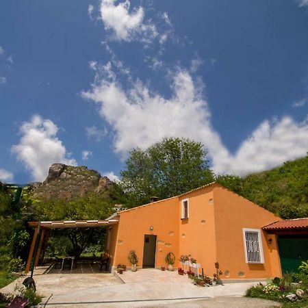 B&B Casa Vacanze Benvenuti Al Sud Aiello Calabro Экстерьер фото