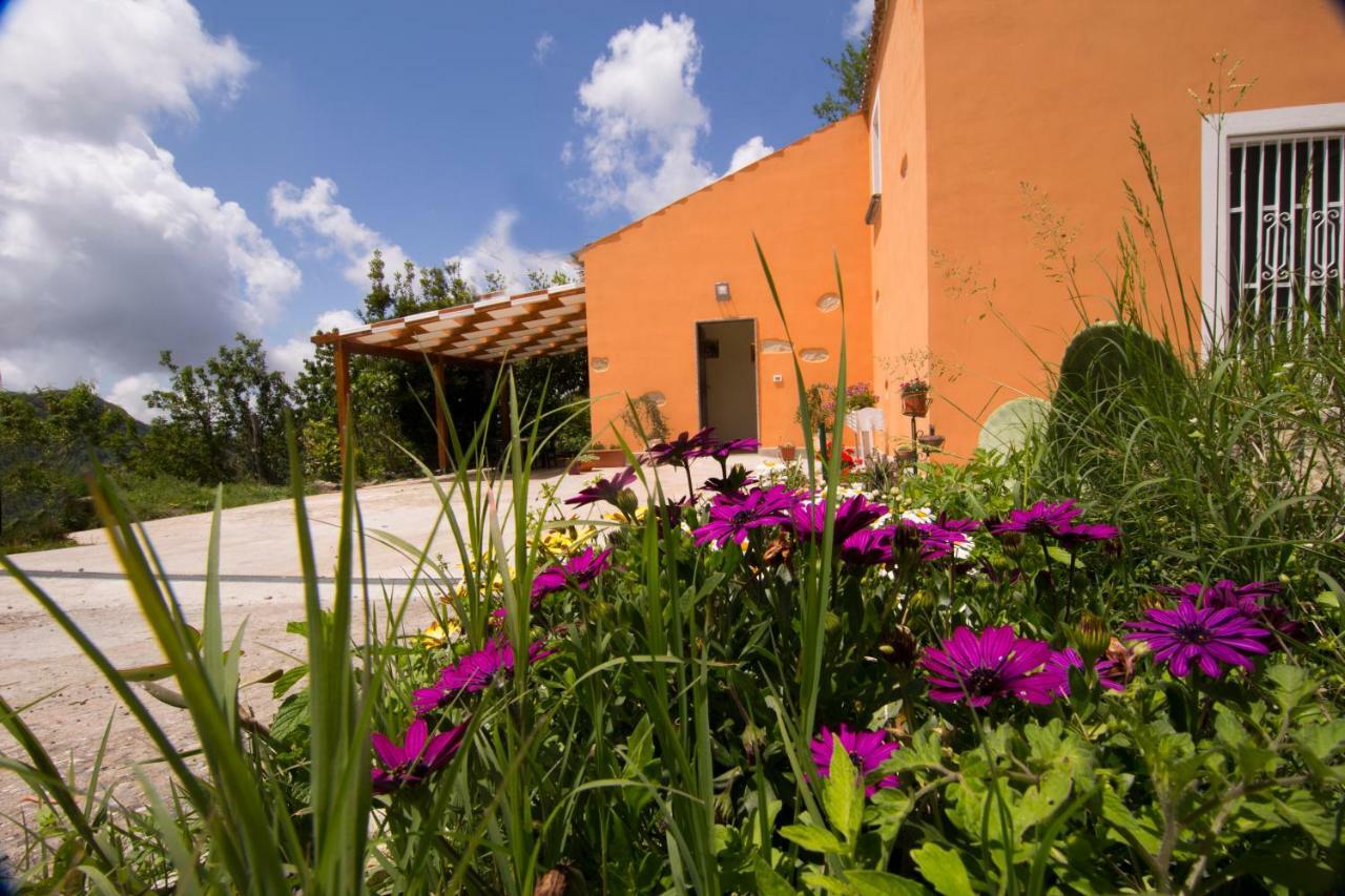 B&B Casa Vacanze Benvenuti Al Sud Aiello Calabro Экстерьер фото